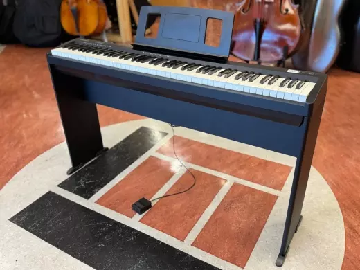 Store Special Product - Roland - FP-10-BKKSH